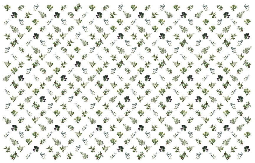 Botanical pattern