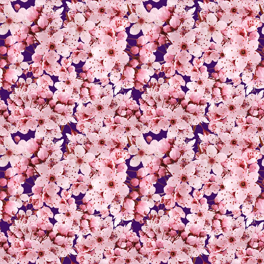 Sakura cherry blossom roller blinds