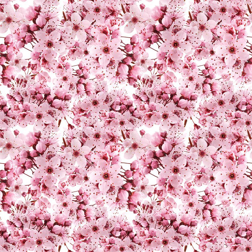 Spring blossom wall murals