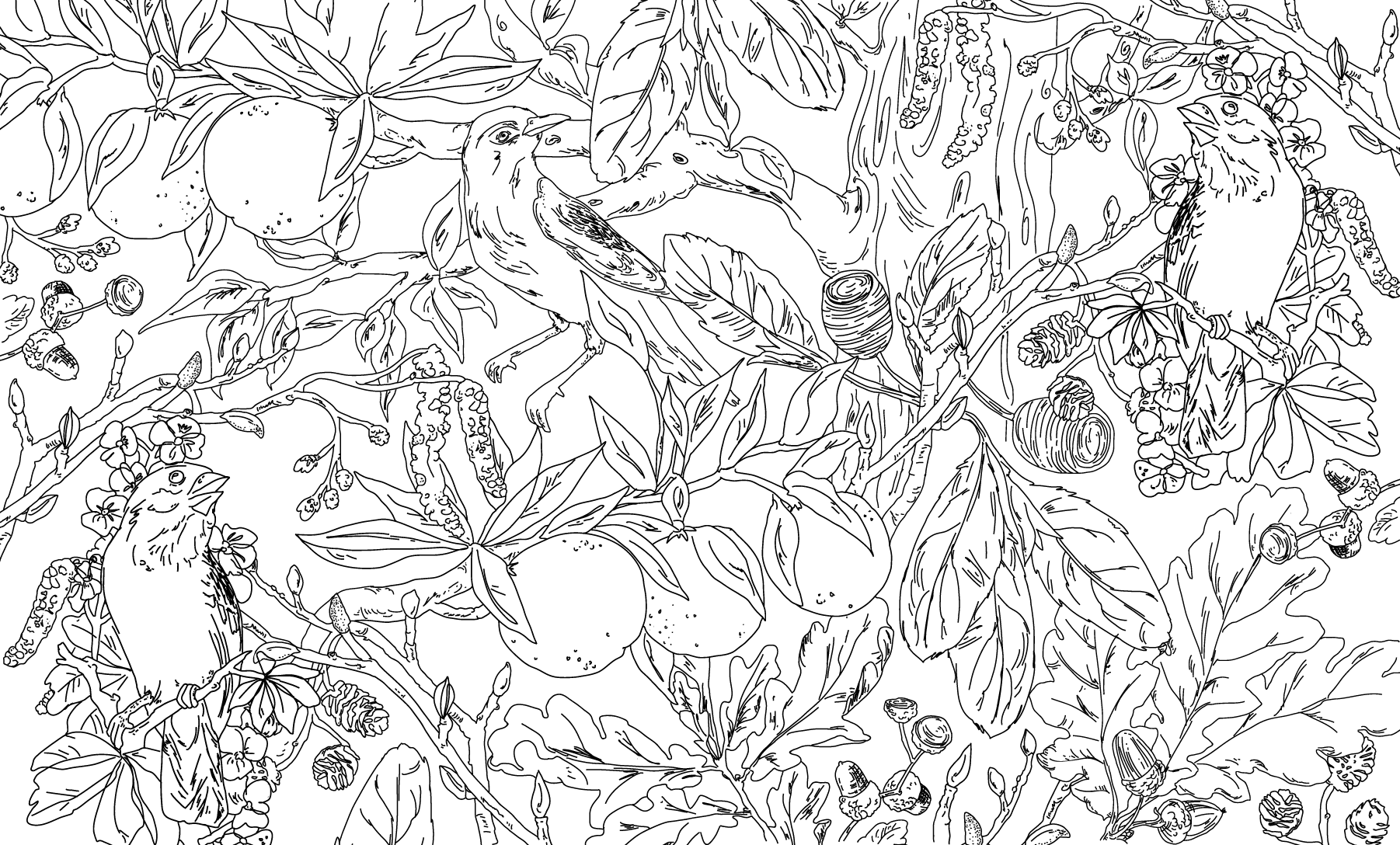 Linear Bird Garden wall murals