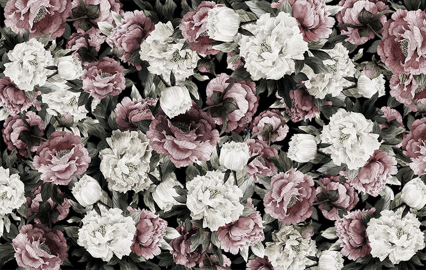 Colorful Peonies wall murals