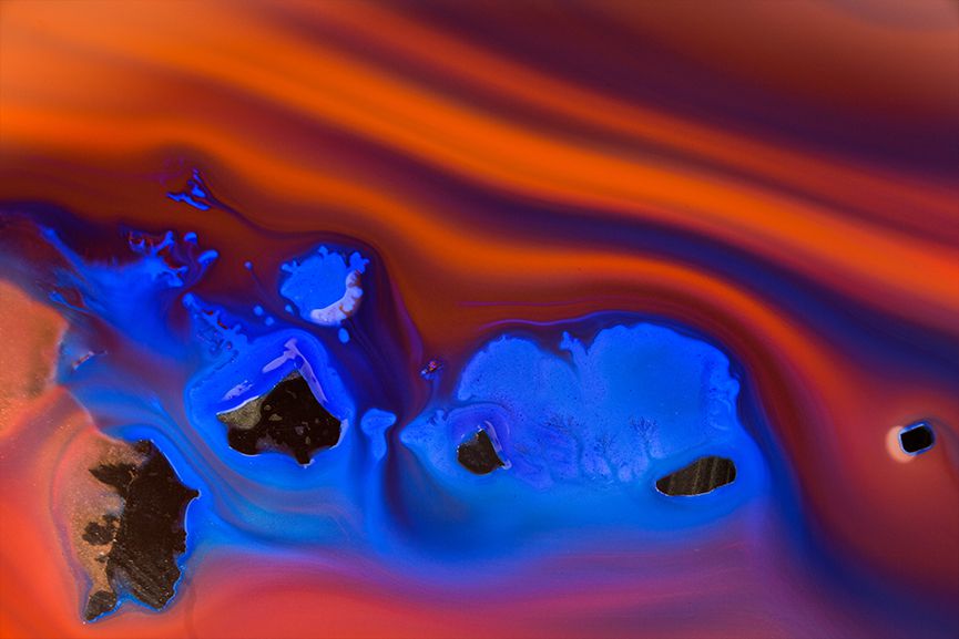 Colors in Motion wall murals