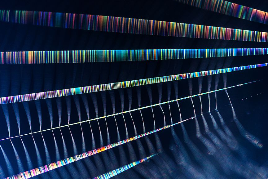 Colour vibrations roller blinds
