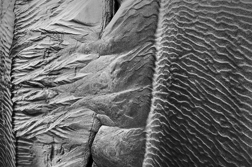 Dune wall murals