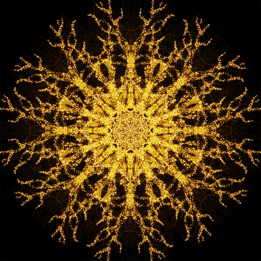 Yellow Mandala symbol