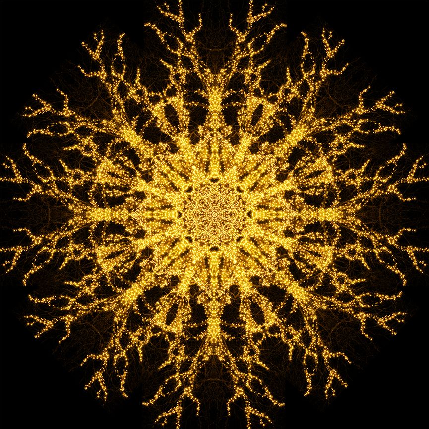 Yellow Mandala 