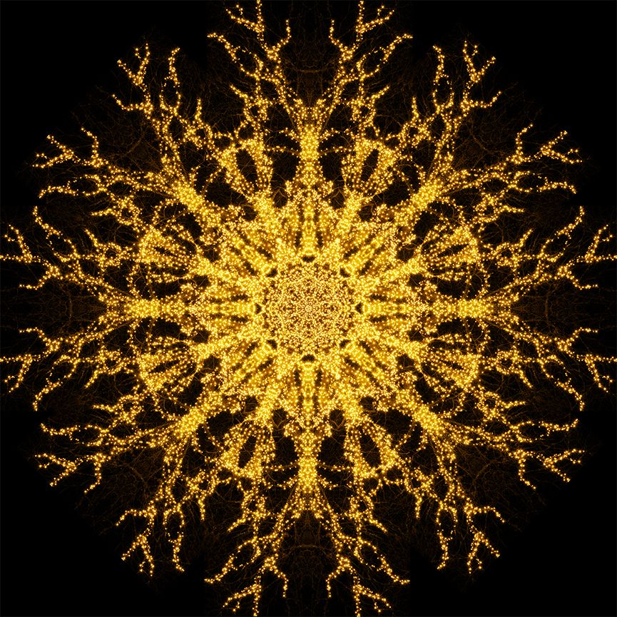 Yellow Mandala circle