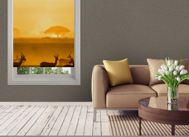 Home roller blinds