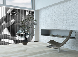 Black and White vertical blinds