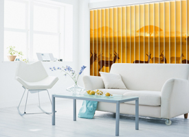 Home vertical blinds