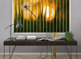 Photo vertical blinds