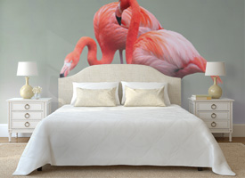 Animal wall murals