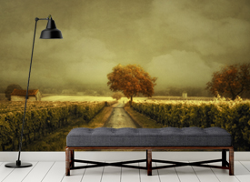 World map wall murals